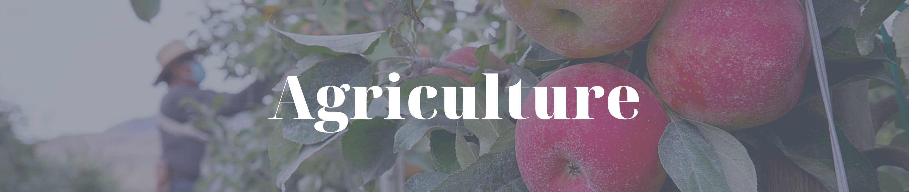 Agriculture header